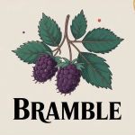 bramble ronce mûres illustration centrale cocktail cuisine