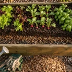 Bacs à potager surélevés en bois pour jardiner sans se baisser